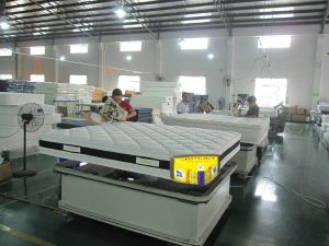 National Deluxe Orthopedic